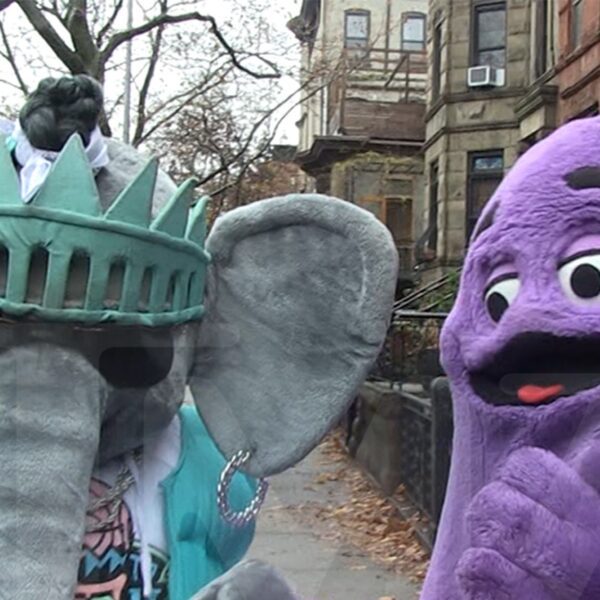 Grimace, Liberty’s Ellie the Elephant Going to McDonald’s All American Games