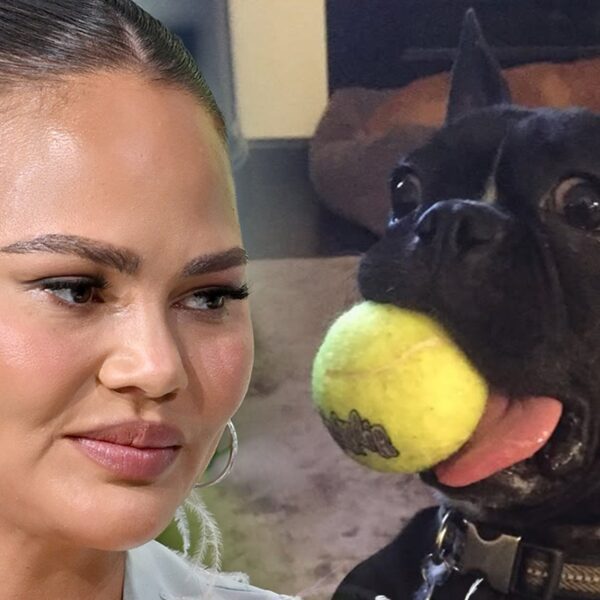 Chrissy Teigen Announces Death of Dog