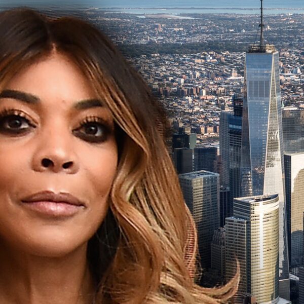 Wendy Williams Guardianship Controversy Spurs N.Y. Senator to Push for New Law