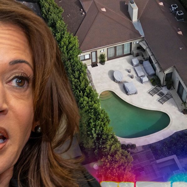 Two Arrested for Curfew Violations Near Kamala Harris’ L.A. Home Amid Palisades…