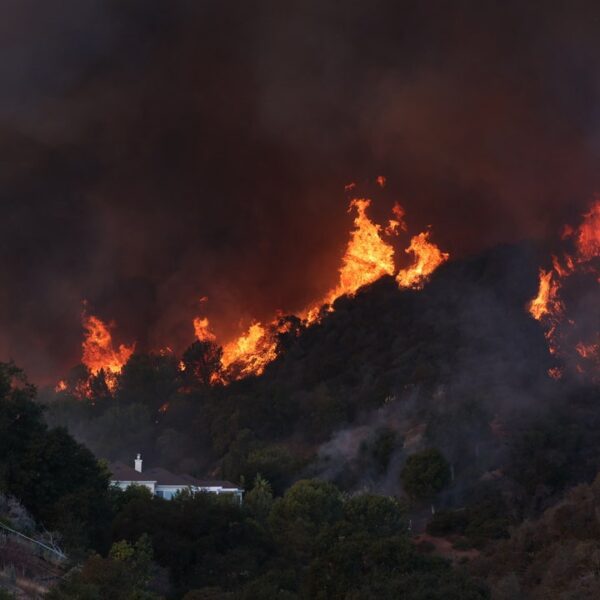 2nd fireplace breaks out in Pasadena amid sturdy Santa Ana winds