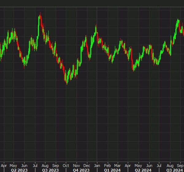 The euro rings within the new 12 months by falling to the…