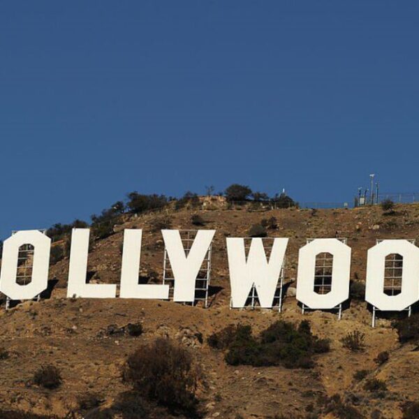 Hollywood Talent Manager: 2024 Election Outcome Shows Celebrities Don’t Have Strong Cultural…