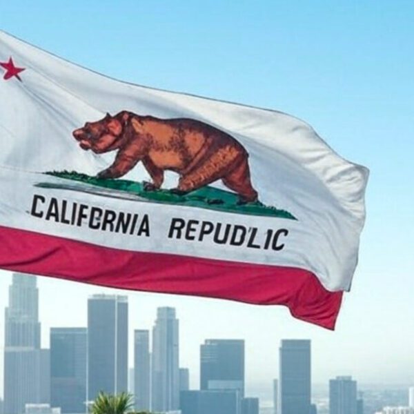 California Secessionists Just Took Their First Major Step Towards a Bid for…