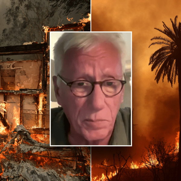 Actor James Woods recollects chaotic moments as Palisades hearth gained momentum