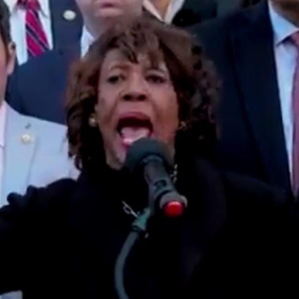 Unhinged Democrats Protest In Front of Treasury, Attack Musk, Call For Violence:…