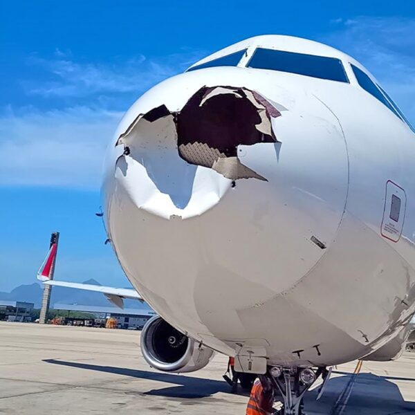 Plane Makes Emergency Landing After Nose Smashed in by Bird in Brazil