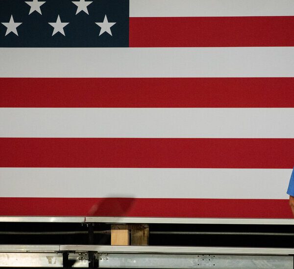 Opinion | James Carville: The Best Thing Democrats Can Do in This…