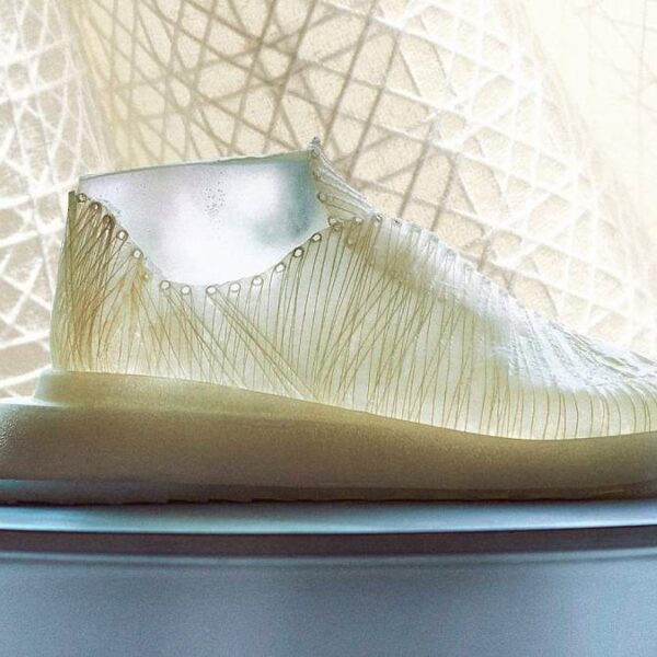Modern Synthesis is making compostable supplies that final a lifetime