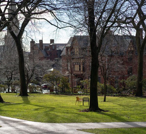 Brown University Professor and Doctor Is Deported to Lebanon Despite a Judge’s…