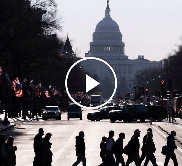 How D.C. Is Surviving Trump 2.0