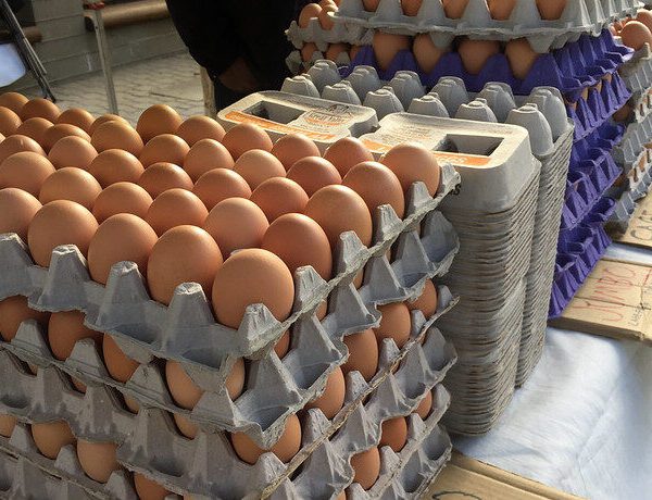 Trump’s DOJ Launches Investigation Into Soaring Egg Prices | The Gateway Pundit