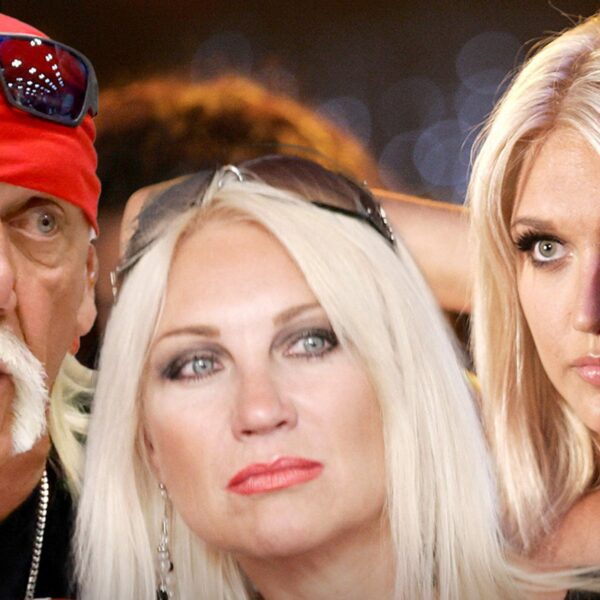Linda Hogan Calls Hulk A ‘Good Father’ Who Spent Millions to Support…