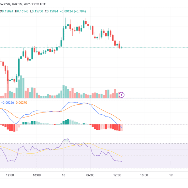 Mubarak Meme Coin’s 200% Surge: Trader Turns $232 Into $1.1M