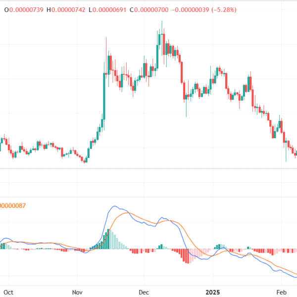 PEPE Turning Bullish? Analyst Sees Meme Coin Entering Bull Rally