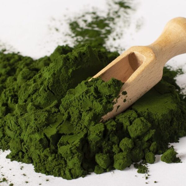 Is this darkish inexperienced algae the new new superfood?