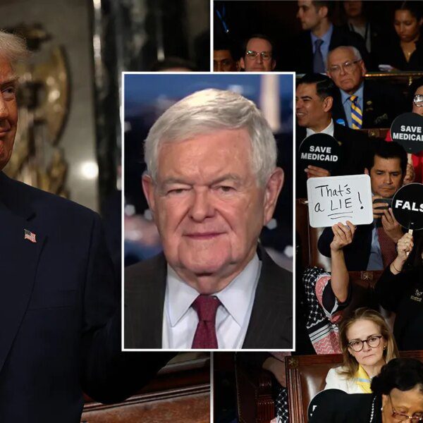 Newt Gingrich calls out Dems for ‘rage’ response to Elon Musk, Trump…