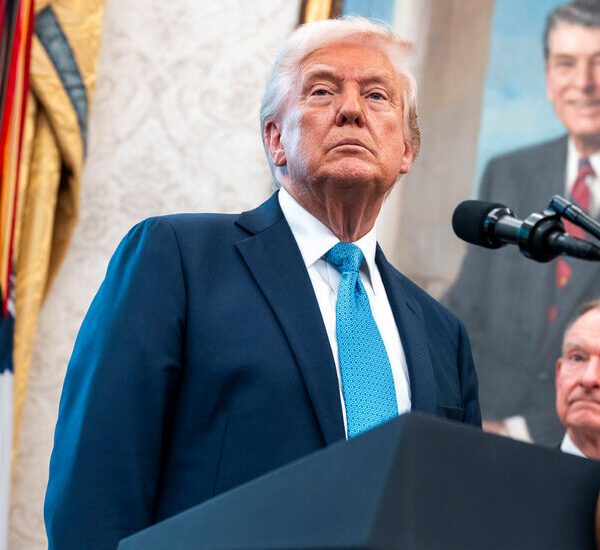 Trump’s Tariffs Prompt Wave of Lawsuits