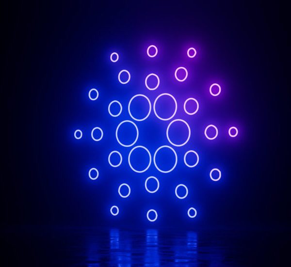 What’s Up With Cardano Sidechain Midnight? Update – Investorempires.com