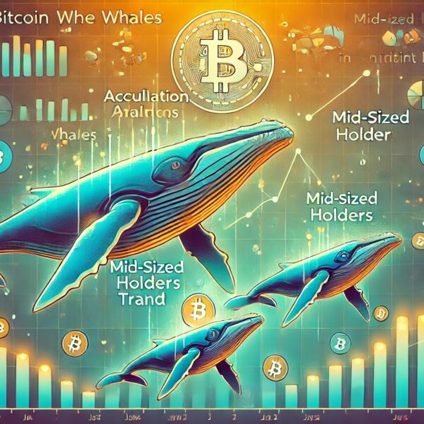Bitcoin Whales Keep Strong Accumulation Trend As Mid-Sized Holders Hint At Sentiment…