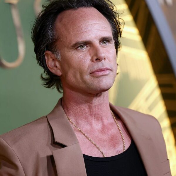 This ‘White Lotus’ star dropped out of faculty and launched his performing…