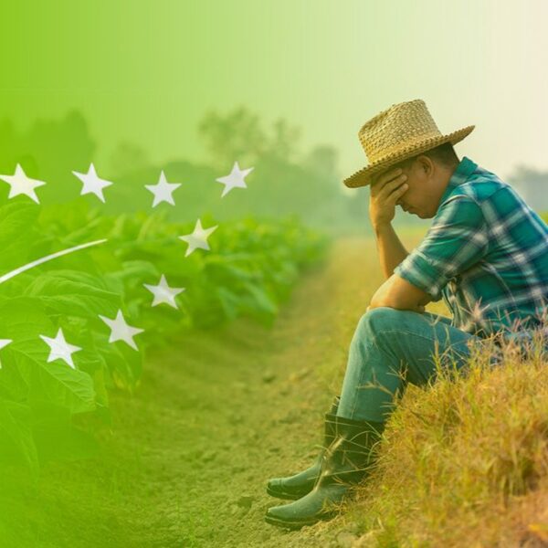 The EU Green Deal: How environmental insurance policies are devastating the psychological…