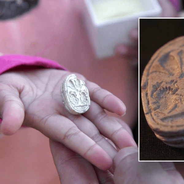 Israeli little one uncovers 3,800-year-old Canaanite amulet in uncommon location