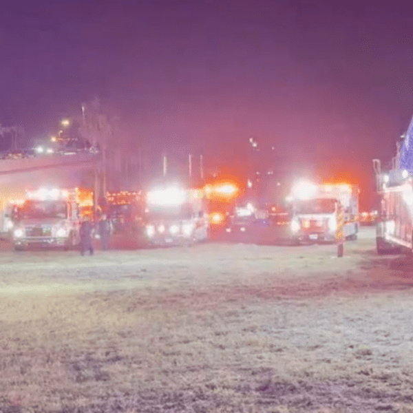 Clearwater Ferry hit by boat close to Memorial Causeway in Florida
