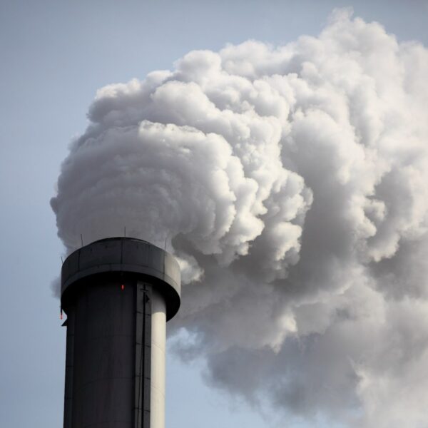 Trump to endorse coal for knowledge middle energy within the face of…