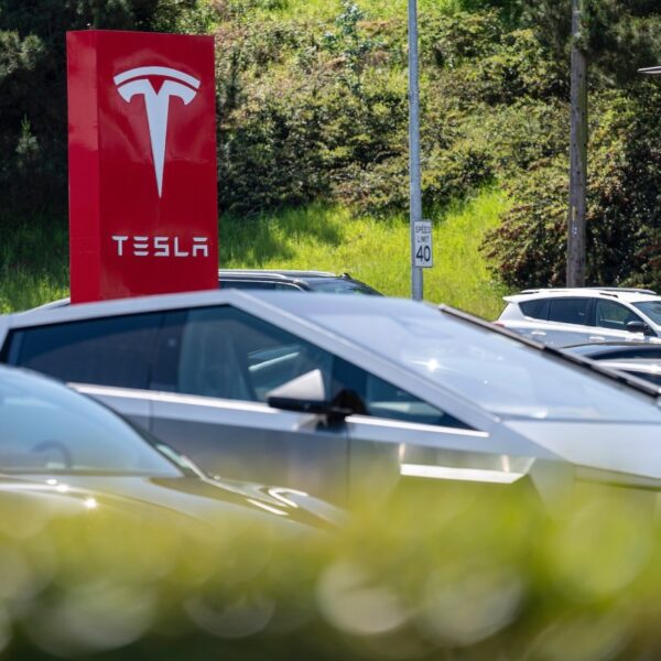 Tesla earnings drop 71% on weak gross sales and anti-Elon Musk sentiment