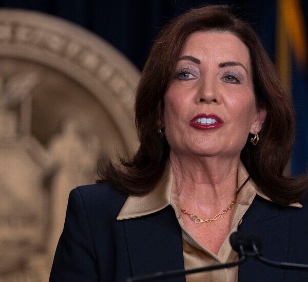 Could Branding Herself as a ‘Mom Governor’ Help Hochul Win Re-election?