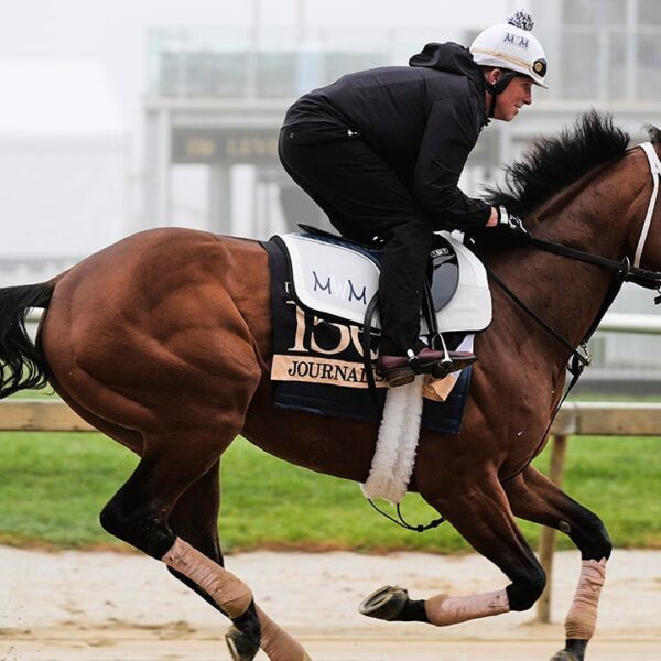 Journalism wins a hundred and fiftieth Preakness Stakes in thrilling race