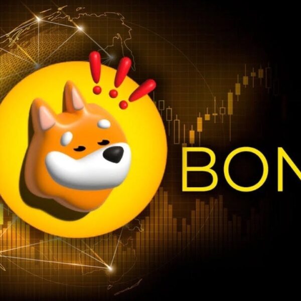 Forget Dogecoin, Analyst Says Solana Meme Coin “BONK” Is About To Explode