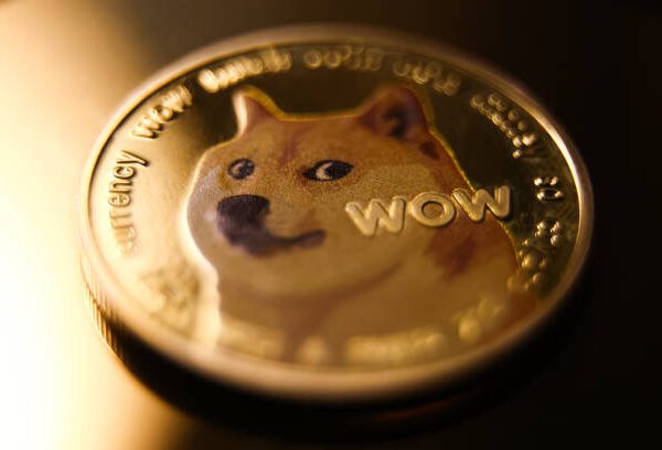 Crypto Analyst Says Dogecoin Price Is Setting Classic Move To $0.5 If…