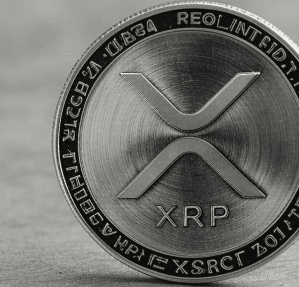 Internet Personality Dave Portnoy Issues Exciting XRP – Bitcoin Forecast – Investorempires.com