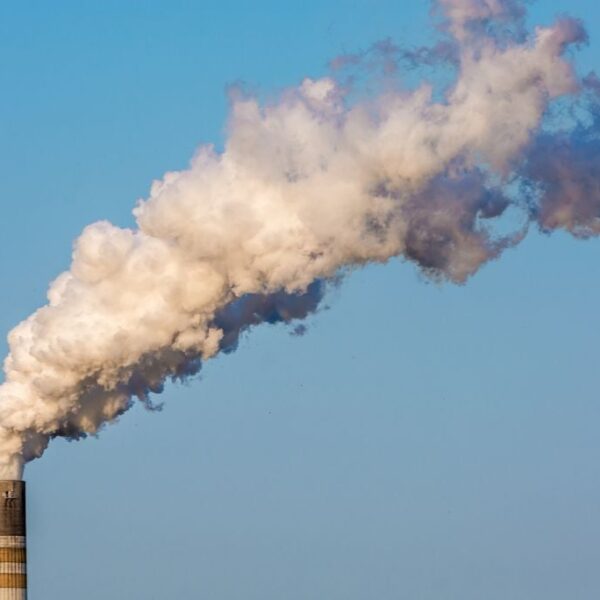 ETS2: The EU’s Green Tyranny of Economic Coercion.