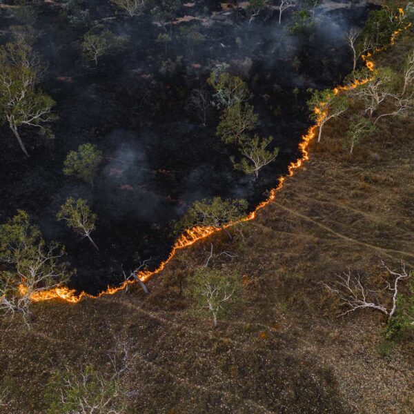 Mercury General: Rebuilding Its Capital Quickly After LA Wildfires (NYSE:MCY)