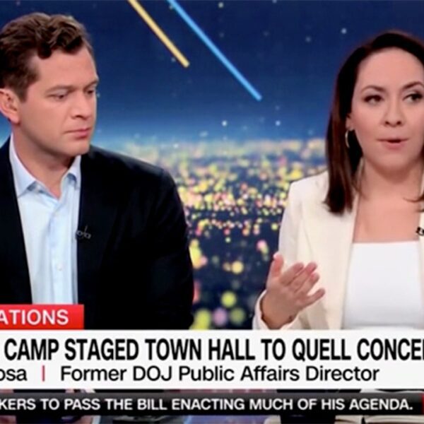Ex-DOJ public affairs director slams Dems for ‘mendacity to all people’ about…