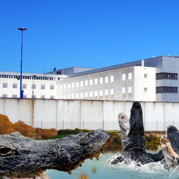 Florida A.G. Offers Up ‘Alligator Alcatraz’ in Everglades to Hold Immigrants