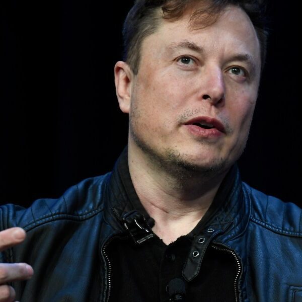 Elon Musk promised a “major rebound” in Tesla gross sales. But indignant…