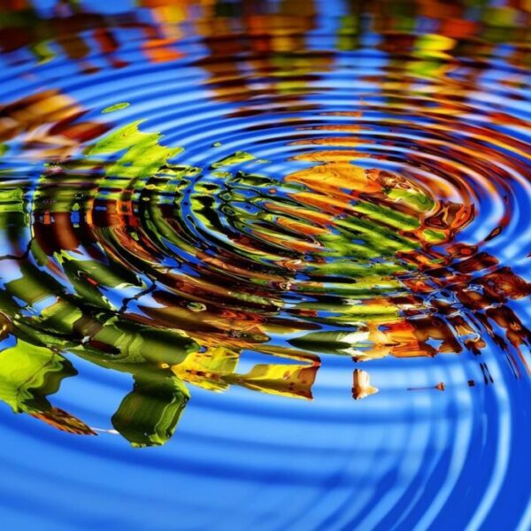 Ripple-Backed ETF Launches In Canada – Investorempires.com