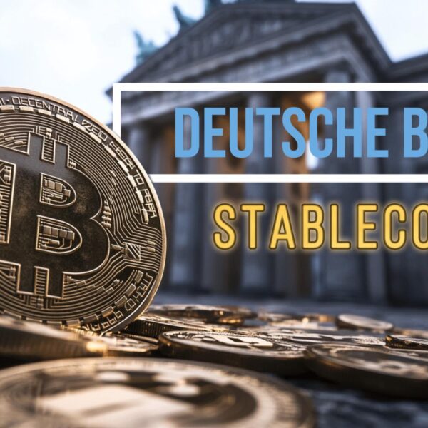 Why You Should Use Best Wallet