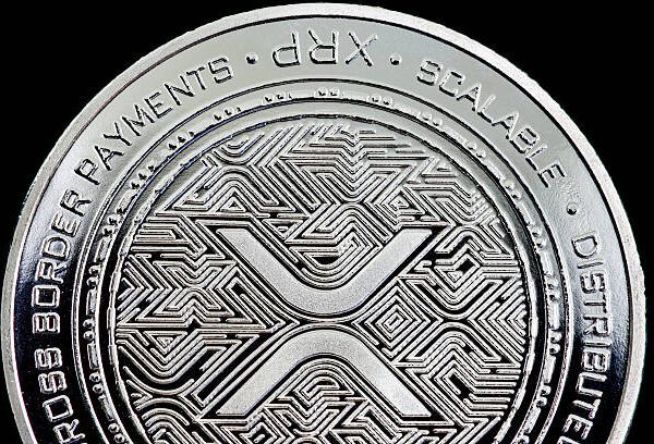 Will Elon Musk Pick XRP Over Dogecoin For X Payments? Market Expert…