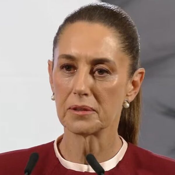 Mexican President Sheinbaum Slams ICE Raids on Illegal Aliens — Claims Deportations…
