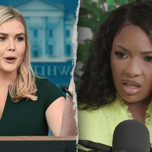 Leavitt sharply rebukes Texas Democrat for her swipe at ‘sick’ Trump supporters