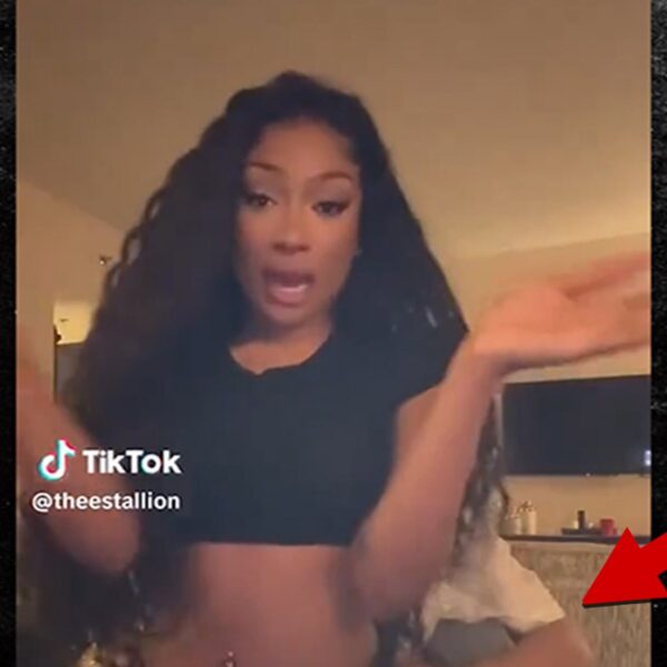 Megan Thee Stallion Unwraps Labubu Gifts From Klay Thompson Sitting on His…