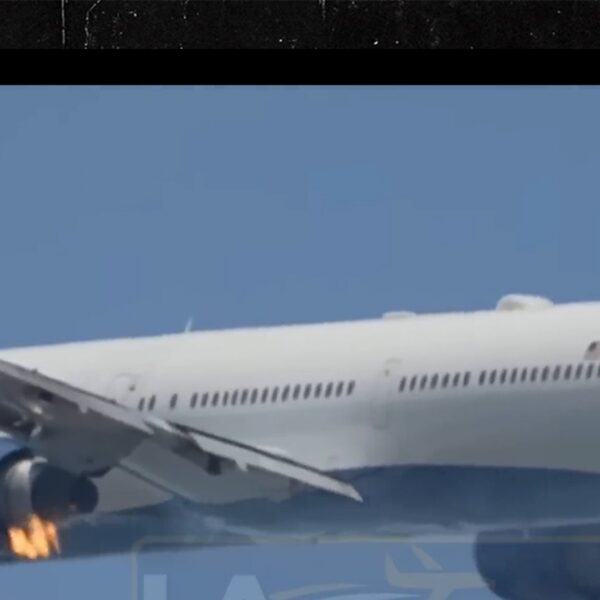Dramatic Video Shows Plane Engine Erupt in Flames After LAX Takeoff