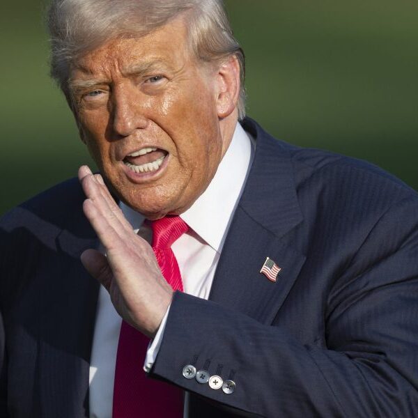 ‘Epstein will endlessly be a loser in individuals’s minds and Donald Trump…