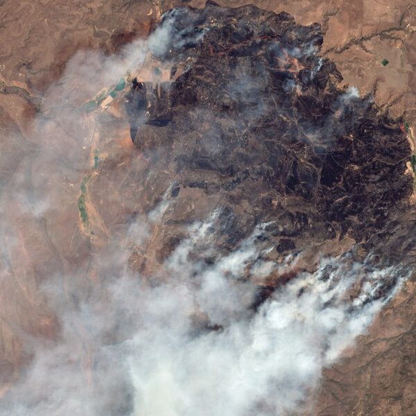 Oregon wildfire burns almost 100,000 acres, approaches ‘megafire’ standing