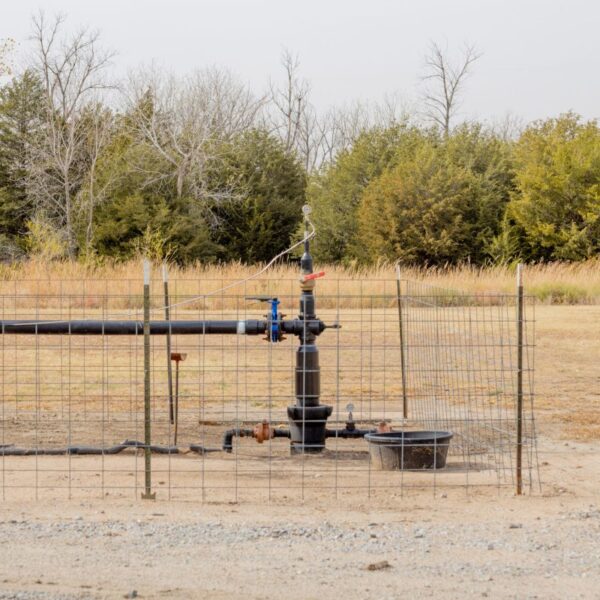 Microsoft is shopping for tons of carbon removing from Xprize startup Vaulted…